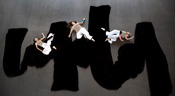 July 2023 Performance Cover Photo
